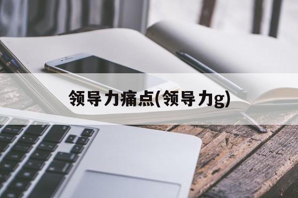 领导力痛点(领导力g)